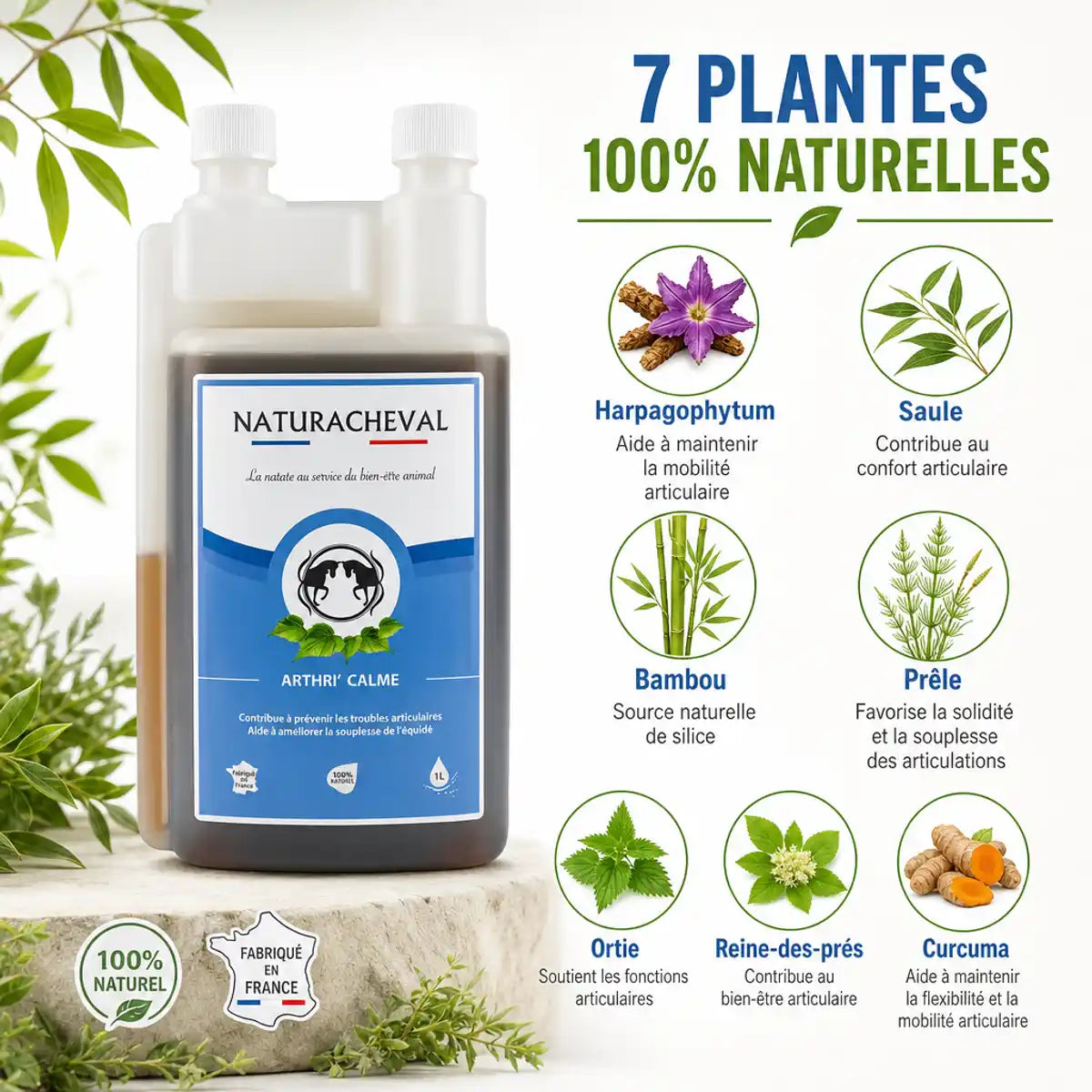 Arthri'Calme 1L - Complément articulaire naturacheval avec 7 plantes pour la souplesse