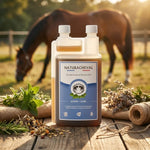 Arthri'Calme 1L Naturacheval bouteille souplesse articulations cheval avec herbes naturelles