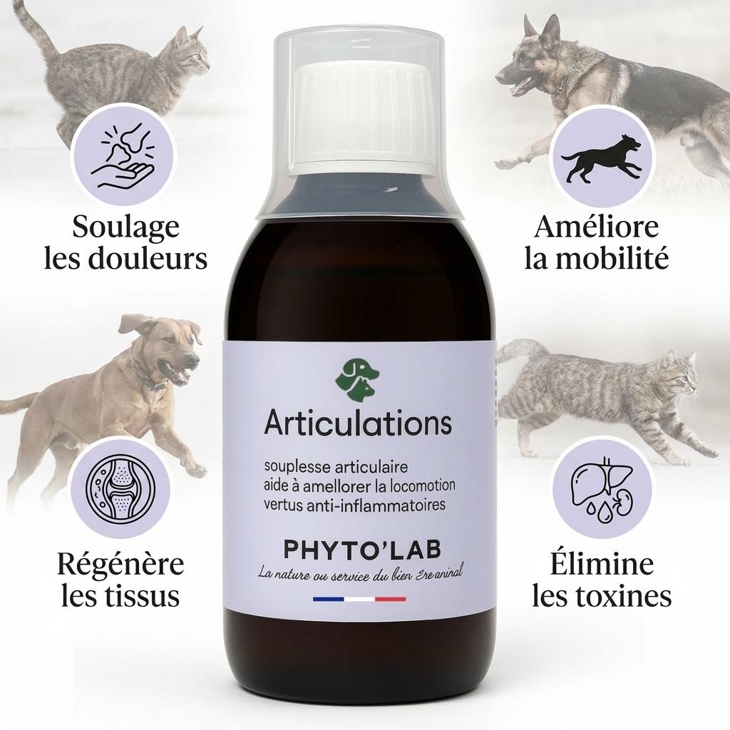Phyto'Lab Articulations 250ml pour chien et chat - soulage douleurs et améliore mobilité