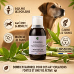 Phyto'Lab Articulations 250ml pour arthrose chien chat avec bambou et bénéfices naturels