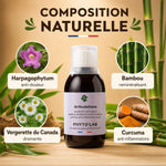 Articulations Phyto'Lab 250ml - Flacon avec ingrédients naturels arthrose chien chat