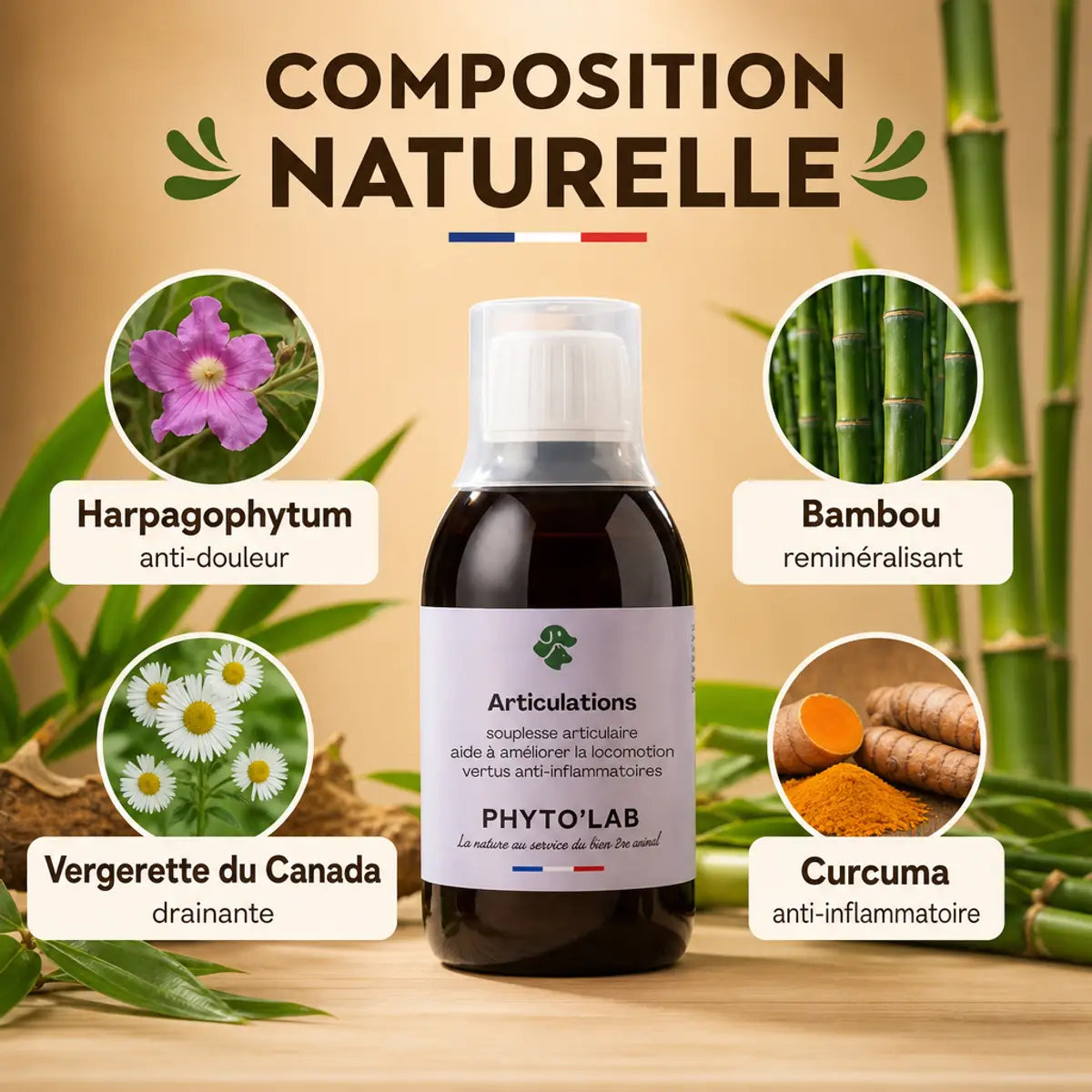 Articulations Phyto'Lab 250ml - Flacon avec ingrédients naturels arthrose chien chat