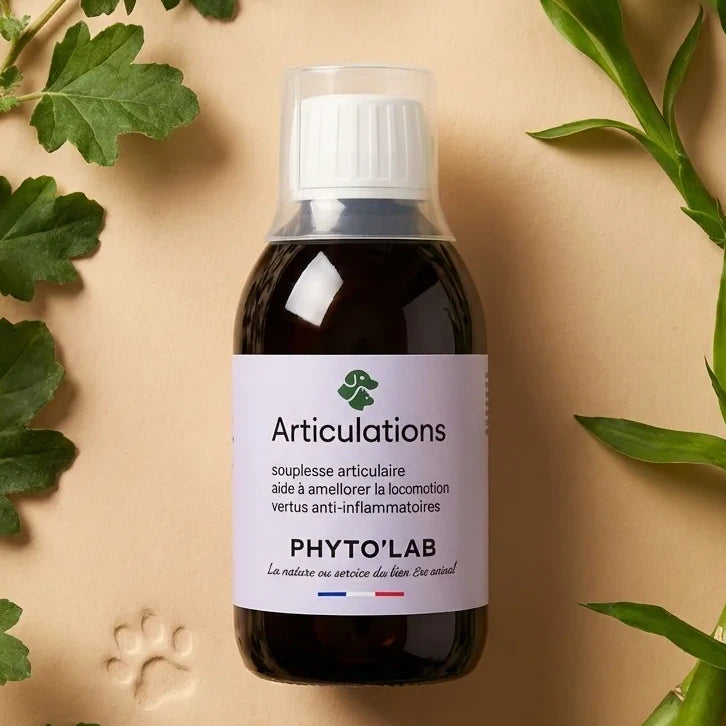 Phyto'Lab Articulations 250ml pour arthrose chien chat avec plantes naturelles