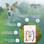 Bienfaits de l'artidyn de la marque ergyvet