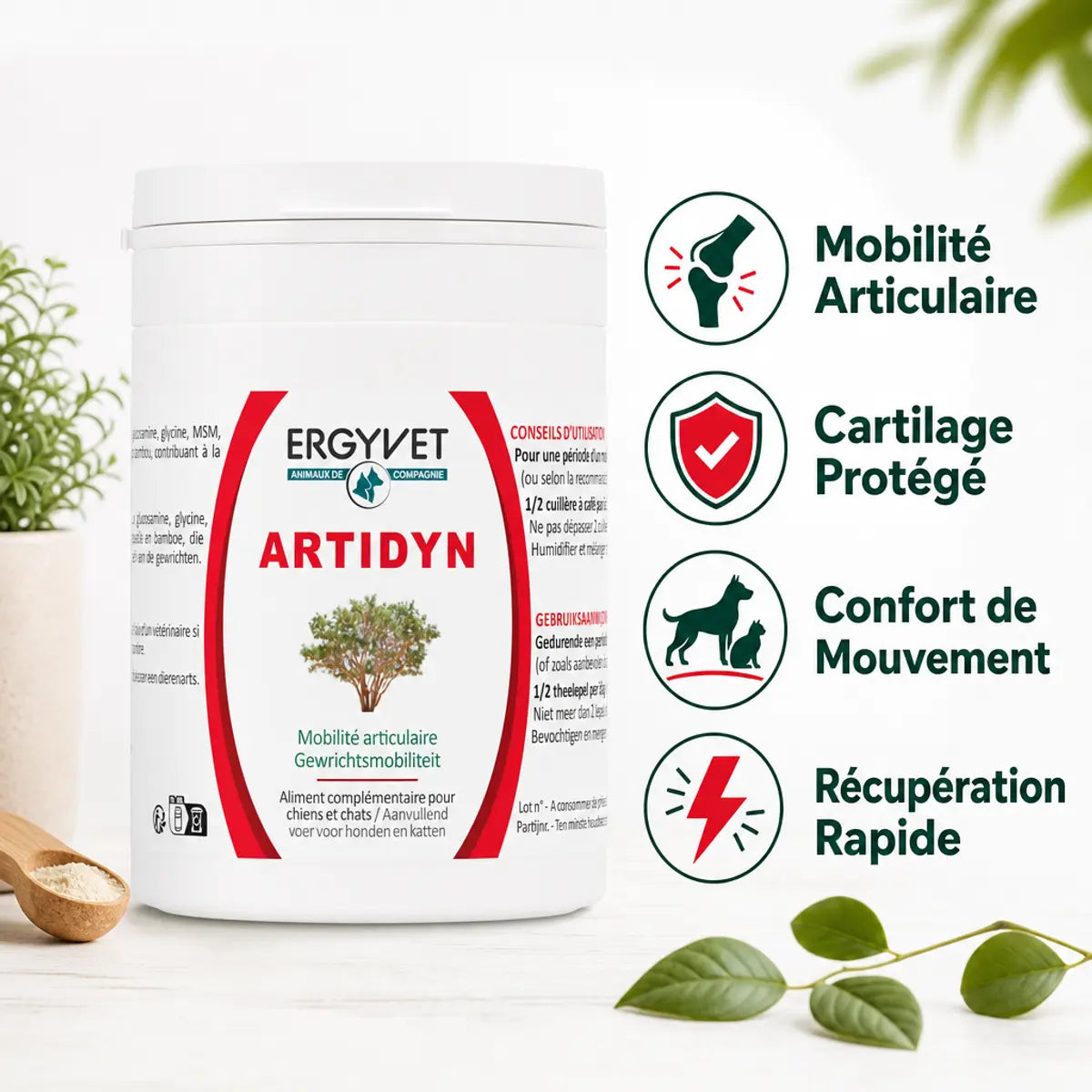 Artidyn 110g Ergyvet - Supplément mobilité articulaire chien chat avec bénéfices cartilage et récupération