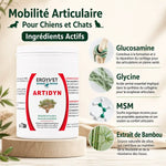 Artidyn Ergyvet 110g - Supplément mobilité articulaire chiens chats avec glucosamine et MSM