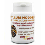 Une boîte de 60 gélules d'algue ascophyllum nodosum de la marque vital osmose