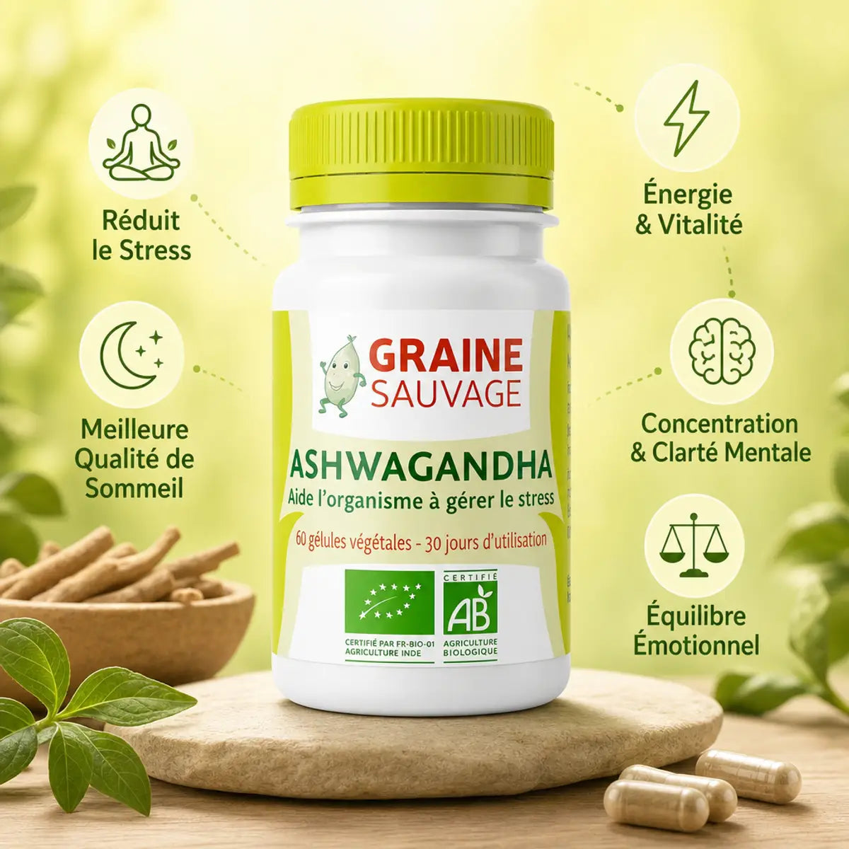 Ashwagandha Bio 60 gélules Graine Sauvage avec bénéfices : stress, sommeil, énergie, concentration
