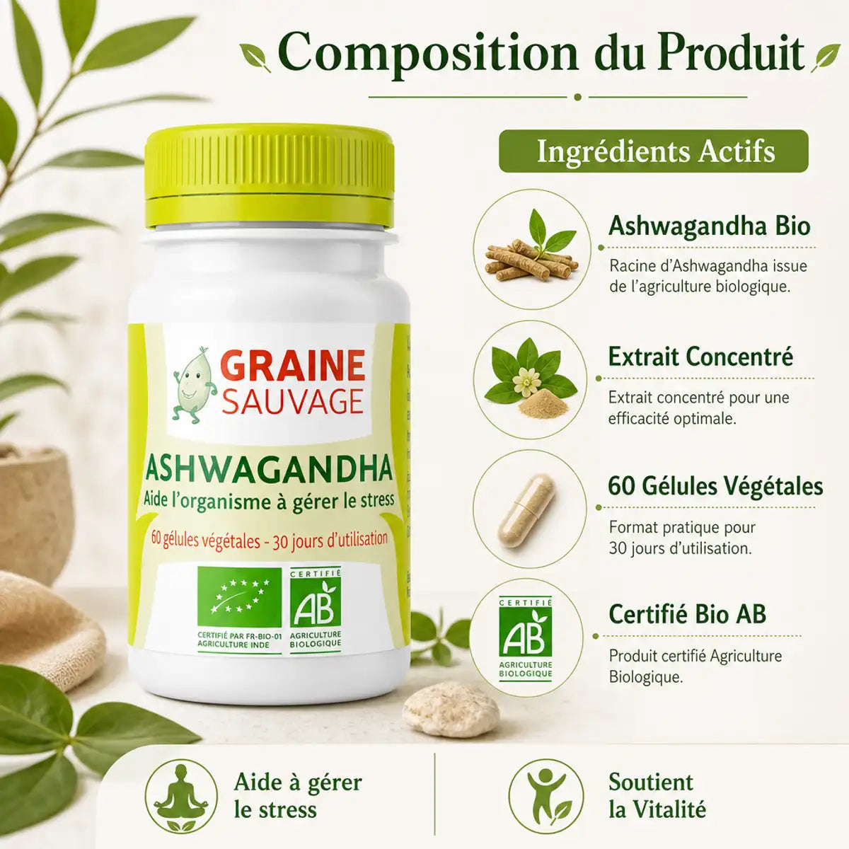 Ashwagandha Bio extrait 60 gélules Graine Sauvage avec composition et ingrédients actifs pour gérer le stress