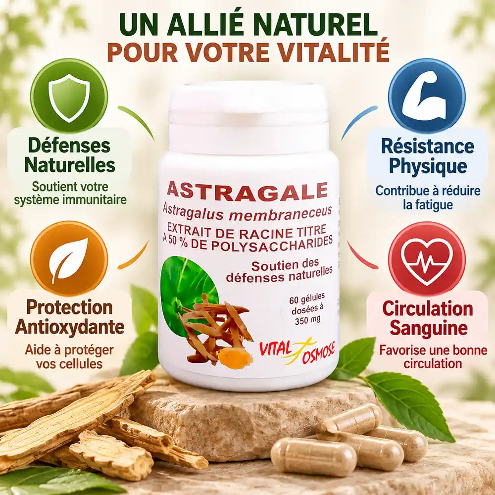 Astragale Vital Osmose 60 gélules avec bénéfices : défenses naturelles, résistance physique, antioxydant