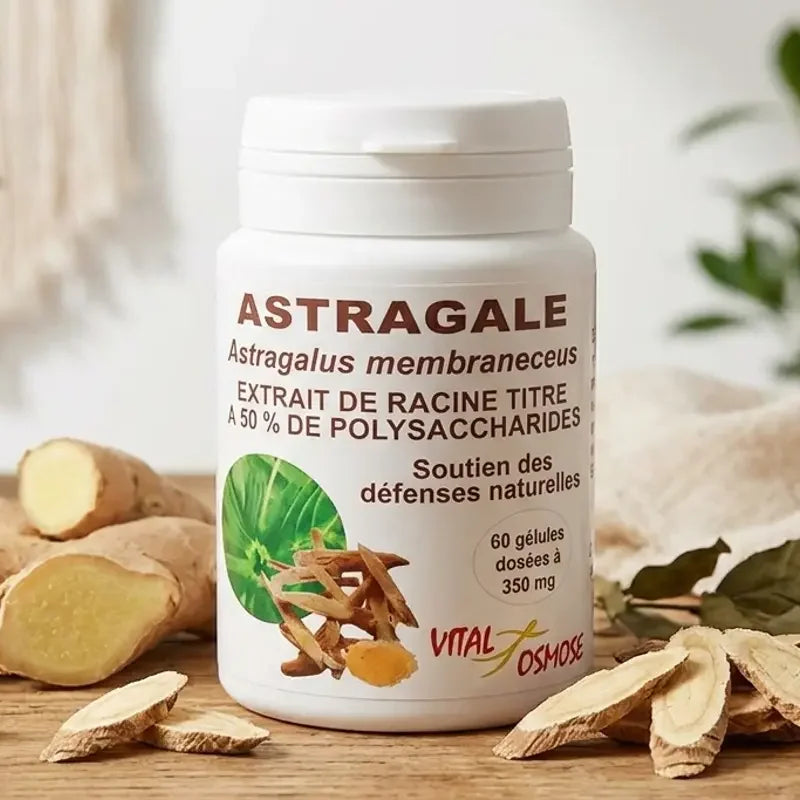 Astragale 50% polysaccharides Vital Osmose avec gingembre frais et plantes séchées