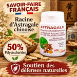 Astragale chinoise 50% polysaccharides Vital Osmose - Gélules défenses naturelles