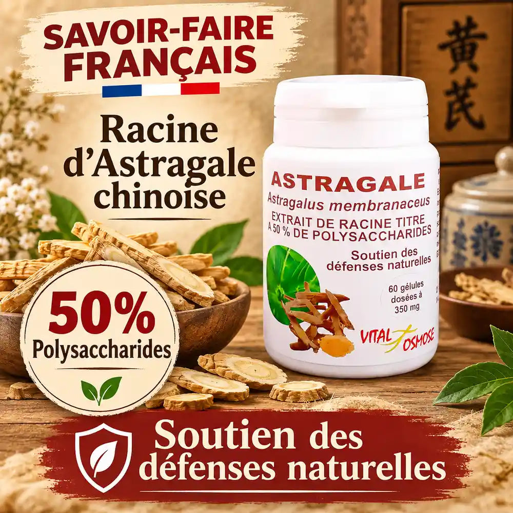 Astragale chinoise 50% polysaccharides Vital Osmose - Gélules défenses naturelles