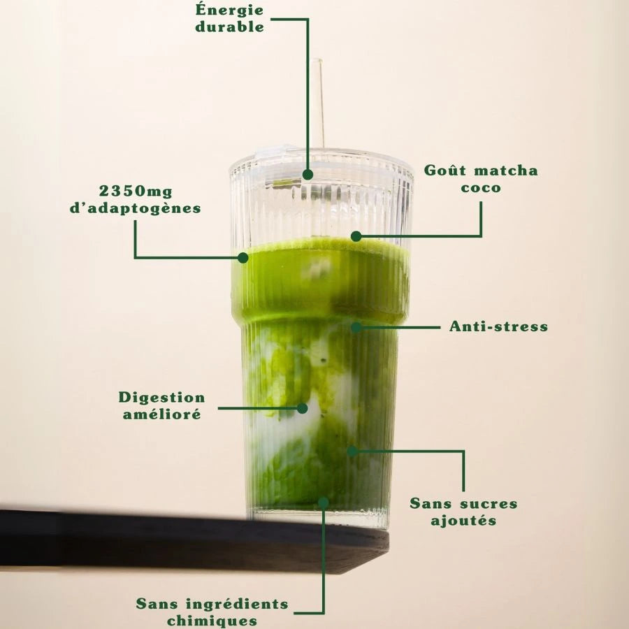 Avantages du super matcha de la marque Dyna