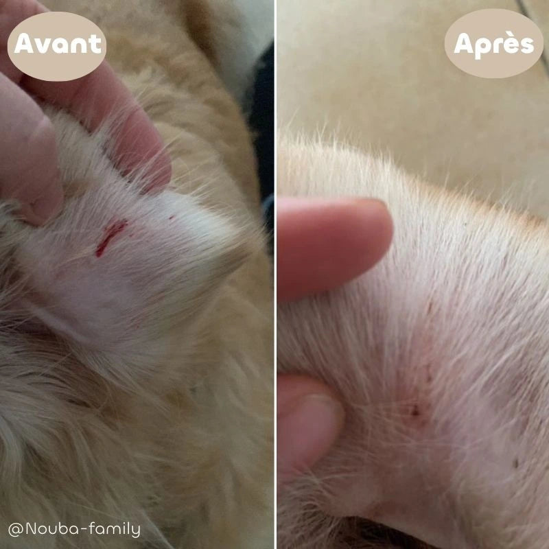 Photo avant/après utilisation du Les bienfaits de Dermo’Gel Bio de la marque Biovetol