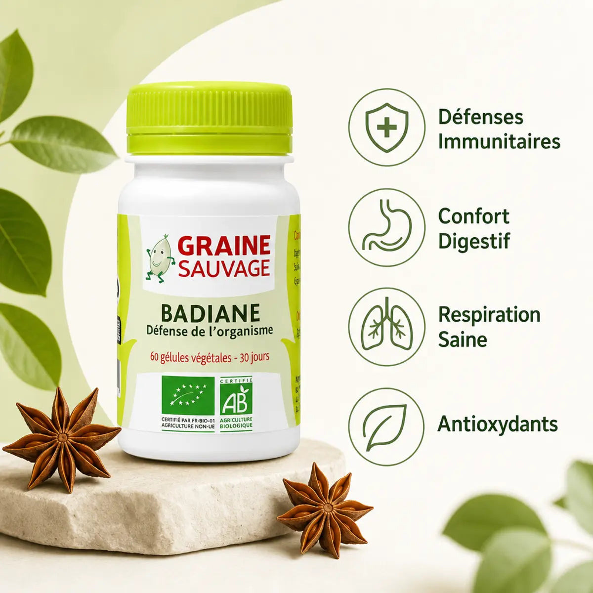 Badiane bio 60 gélules Graine Sauvage avec icônes bénéfices : défenses, digestion, respiration et antioxydants