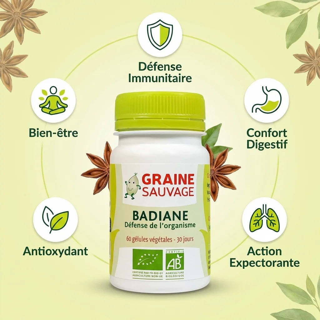 Badiane bio 60 gélules Graine Sauvage avec bénéfices : défense immunitaire, confort digestif, antioxydant