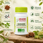 Badiane bio 60 gélules Graine Sauvage - Anis étoilé pour digestion et défense immunitaire