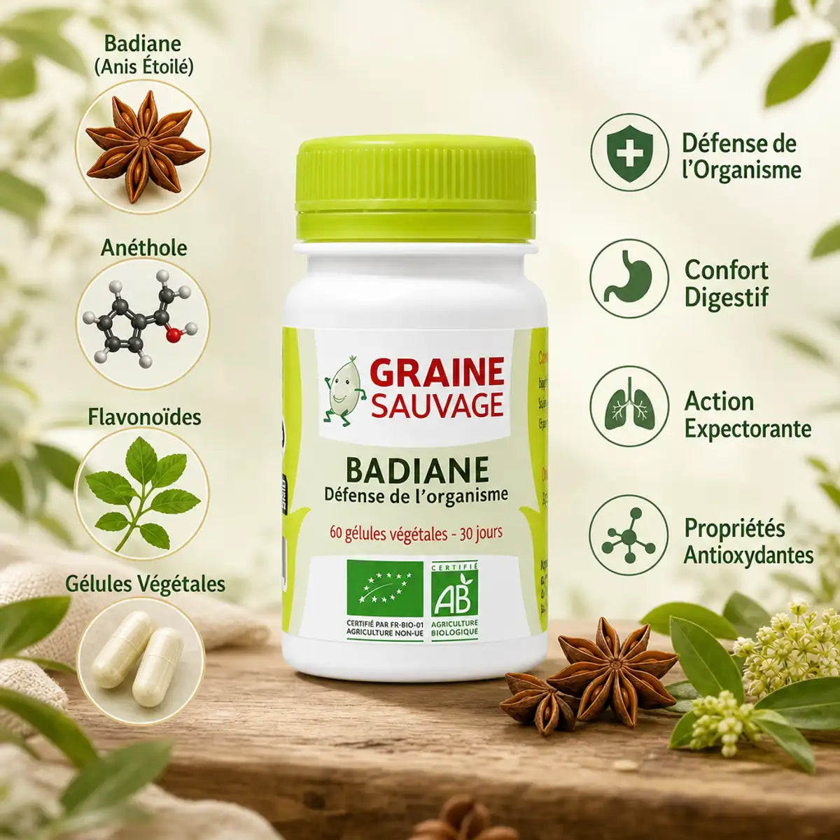 Badiane bio 60 gélules Graine Sauvage - Anis étoilé pour digestion et défense immunitaire