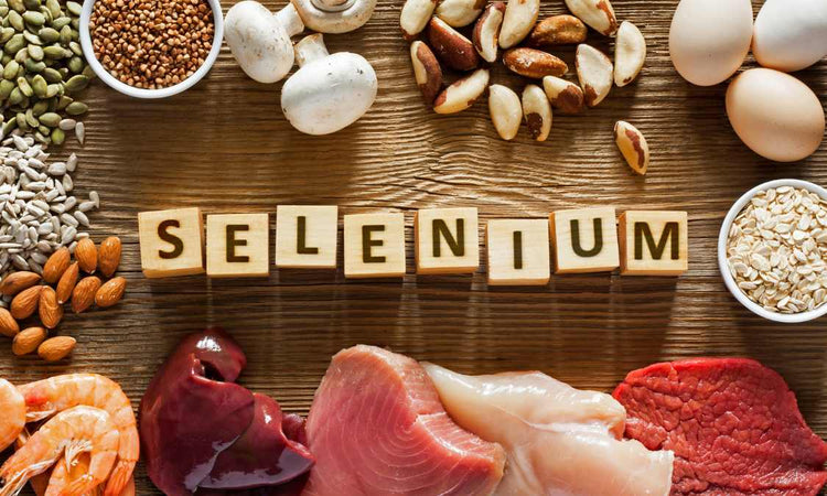Sélénium : bienfaits, sources, dosage, formes et dangers