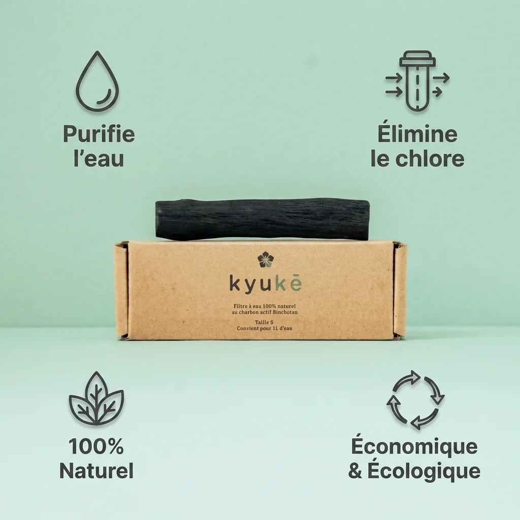 Bâton Charbon Actif Binchotan Kyuké taille S purifie eau élimine chlore naturel écologique