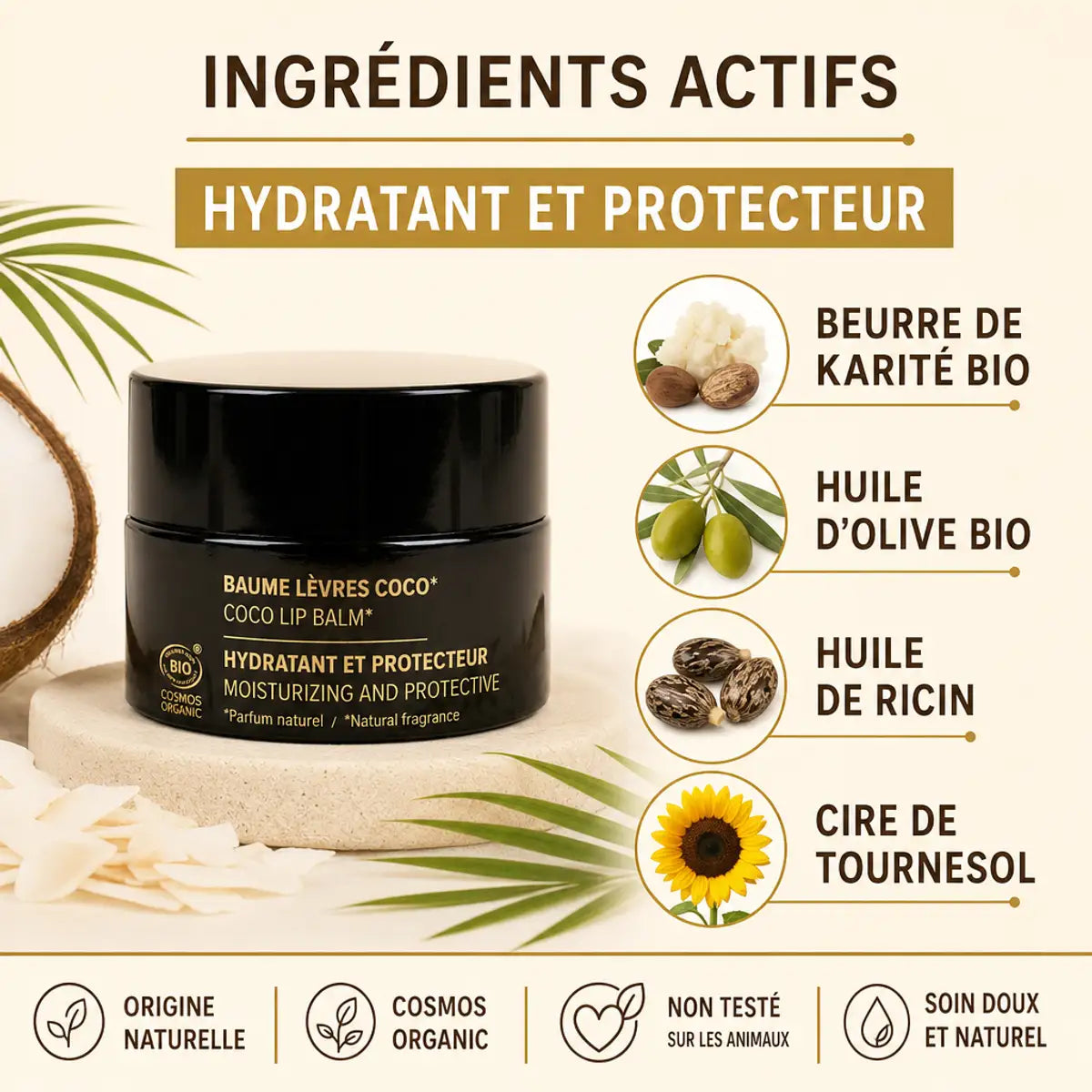 Baume à lèvres Najel coco bio avec ingrédients naturels : karité, olive, ricin et tournesol