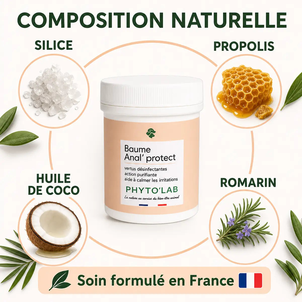 Baume Anal Protect Phyto'Lab 50g avec ingrédients naturels silice propolis noix coco romarin