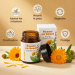Baume au Souci Dr Theiss 100ml avec fleurs de calendula et icônes des bénéfices apaisants et régénérants