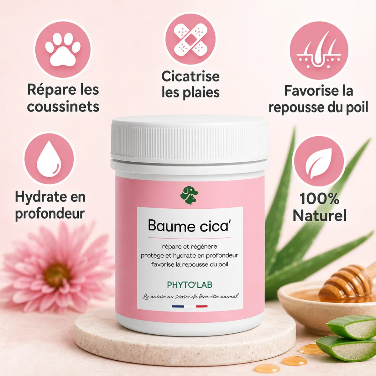 Baume Cica' pour chien chat - pot rose avec icônes bénéfices coussinets plaies cicatrisation naturel
