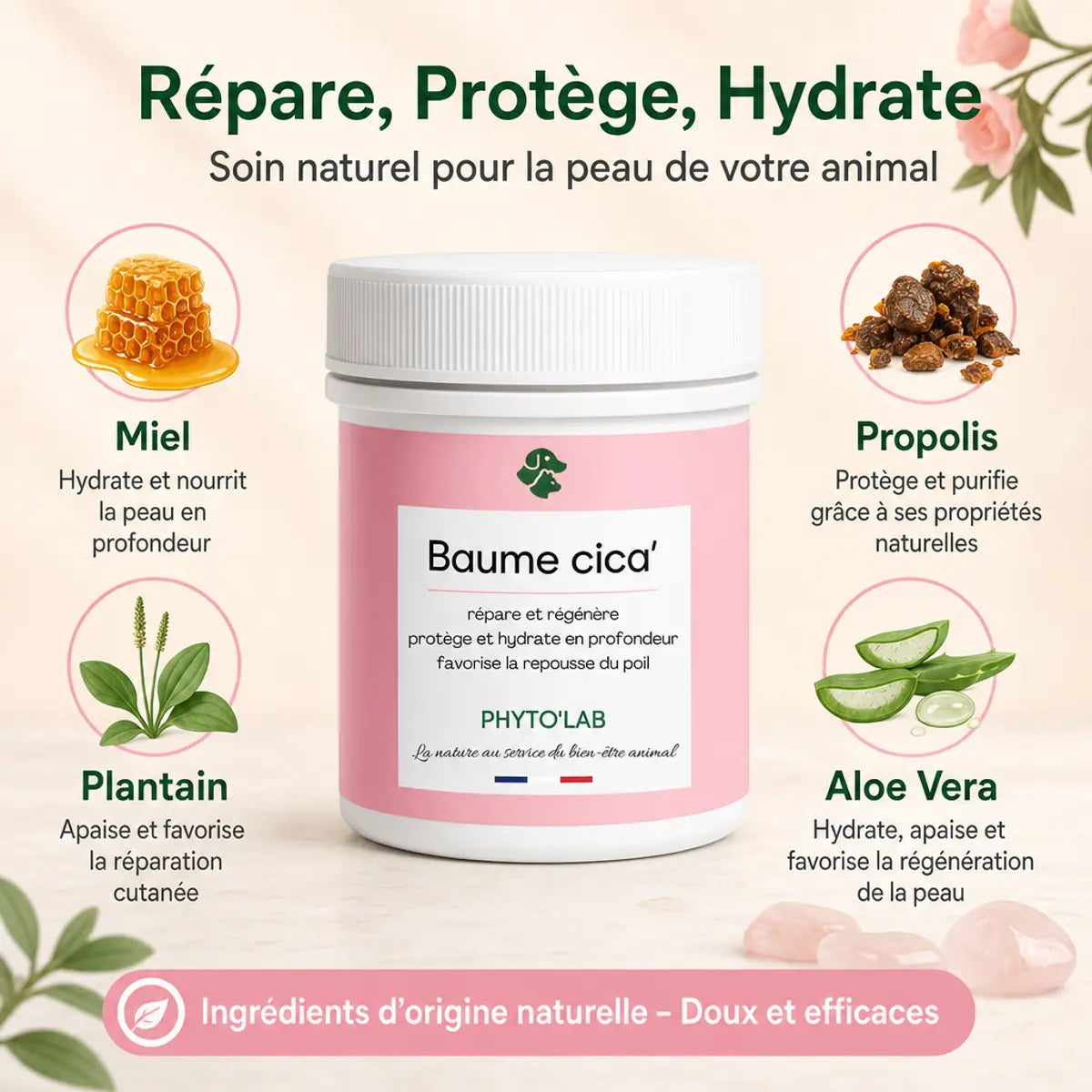 Baume Cica' pot 80g pour chien chat avec ingrédients miel propolis aloe vera plantain