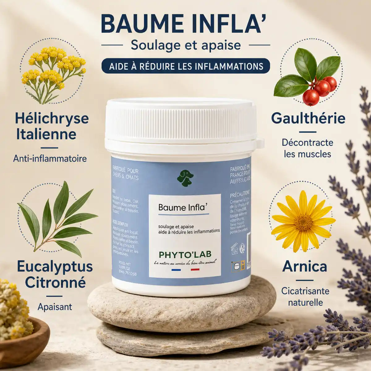 Baume Infla' Phyto'Lab 80g pour chiens et chats avec ingrédients naturels: hélichryse, eucalyptus, gaulthérie et arnica