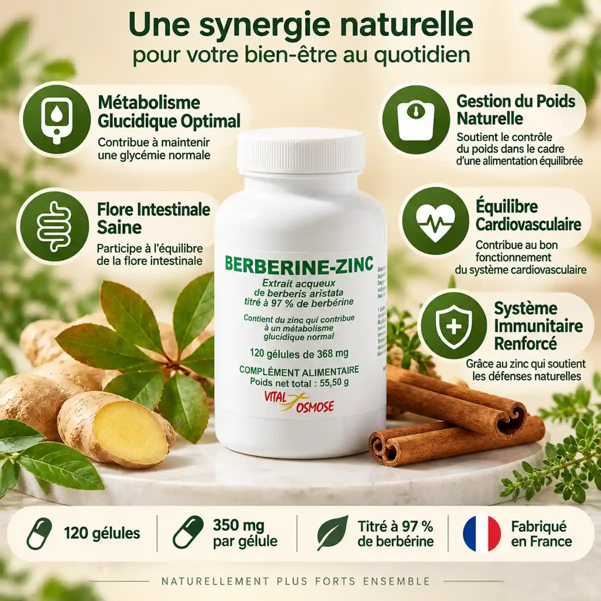 Berbérine 350mg VitalOsmose 120 gélules avec bénéfices santé: glycémie, poids, digestion, cœur, immunité