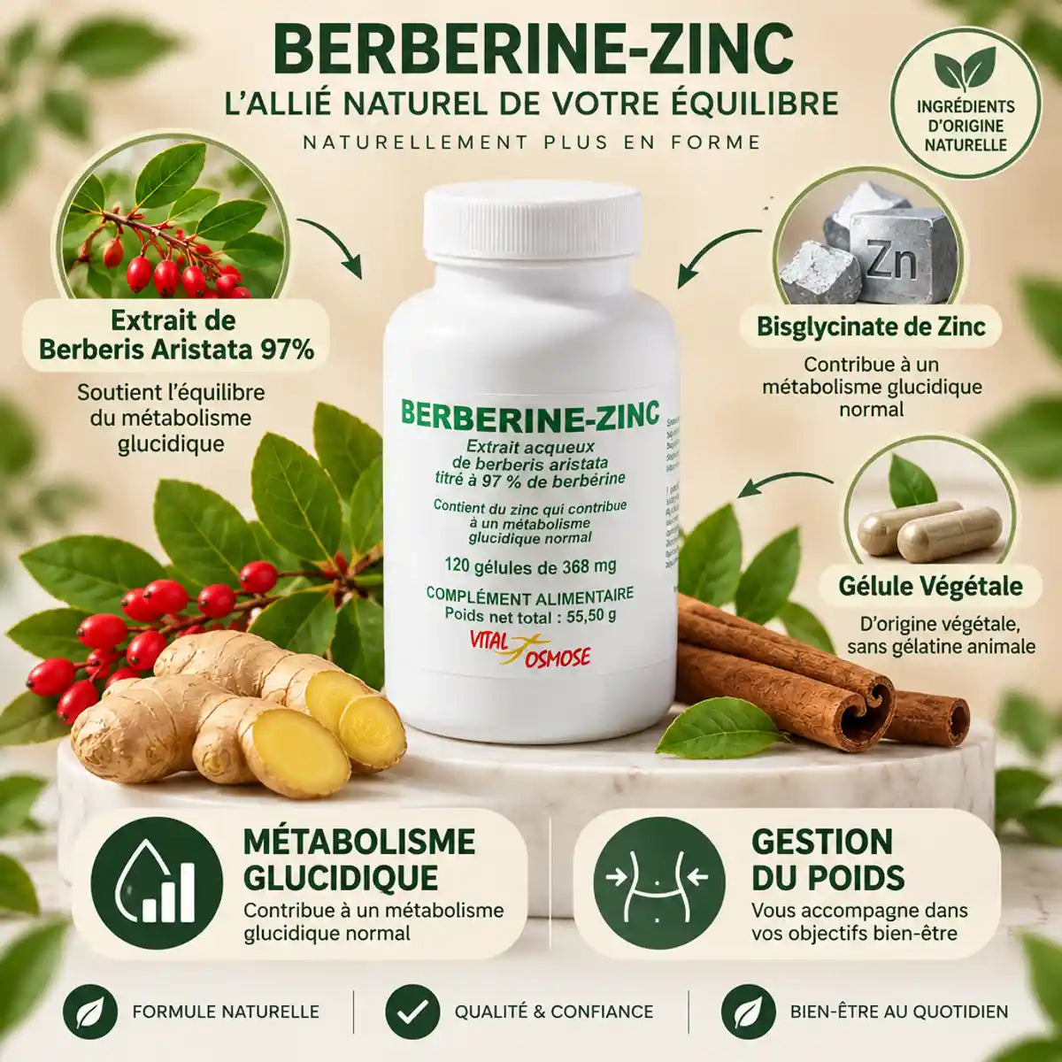 Berbérine 350mg gélules VitalOsmose avec ingrédients naturels pour gestion poids et glycémie
