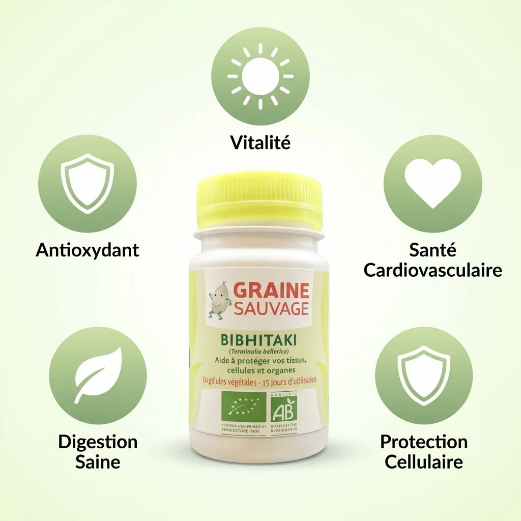 Bibhitaki bio 60 gélules Graine Sauvage avec bénéfices santé : antioxydant, digestion, vitalité