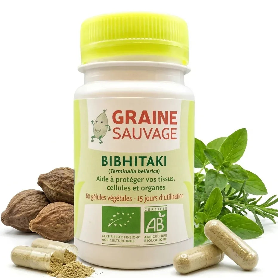 Bibhitaki bio 60 gélules Graine Sauvage avec fruits et capsules végétales sur fond blanc