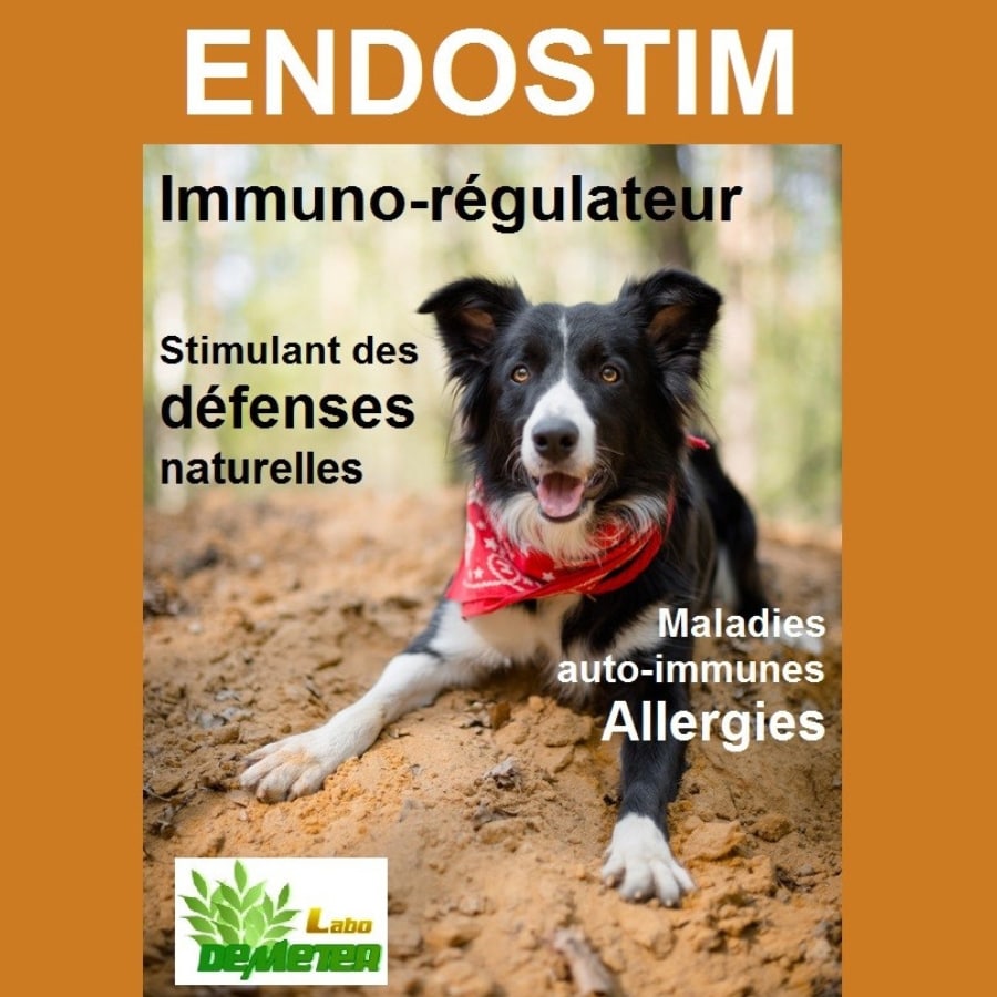 Les bienfaits d'Endostim de Labo Demeter sur les défenses naturelles et les maladies auto-immunes et allergiques du chien et du chat