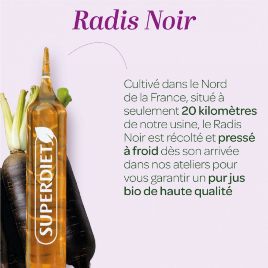 Les bienfaits et les origines des ampoules de Radis Noir Bio Superdiet