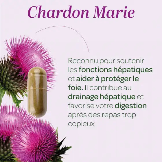 Les bienfaits sur le foie des gélules de Chardon Marie Bio Superdiet