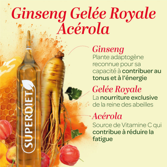 Les bienfaits des ingrédients contenus dans les ampoules de ginseng gelée royale et acérola bio de la marque Superdiet