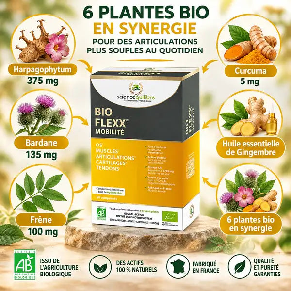 BIO FLEXX Mobilité 60 comprimés avec ses 6 plantes bio : Harpagophytum, Bardane, Frêne, Curcuma et Gingembre