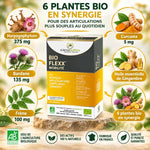 BIO FLEXX Mobilité 60 comprimés avec ses 6 plantes bio : Harpagophytum, Bardane, Frêne, Curcuma et Gingembre