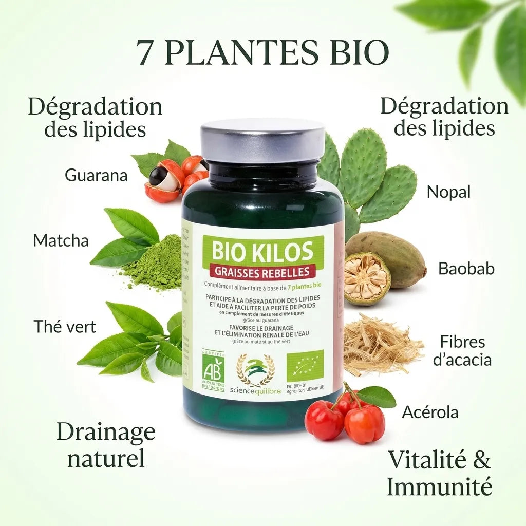 Bio Kilos Graisses Rebelles 90 comprimés avec ingrédients bio : guarana, matcha, thé vert, nopal et acerola
