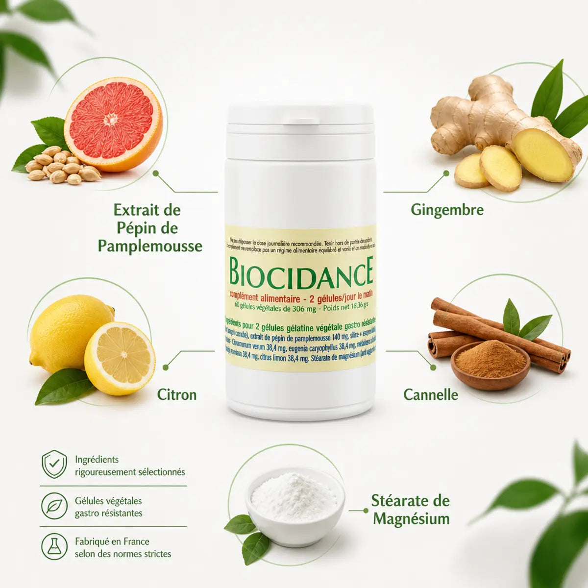 Biocidance 60 gélules Jade Recherche avec ingrédients naturels: pamplemousse, gingembre, citron, cannelle