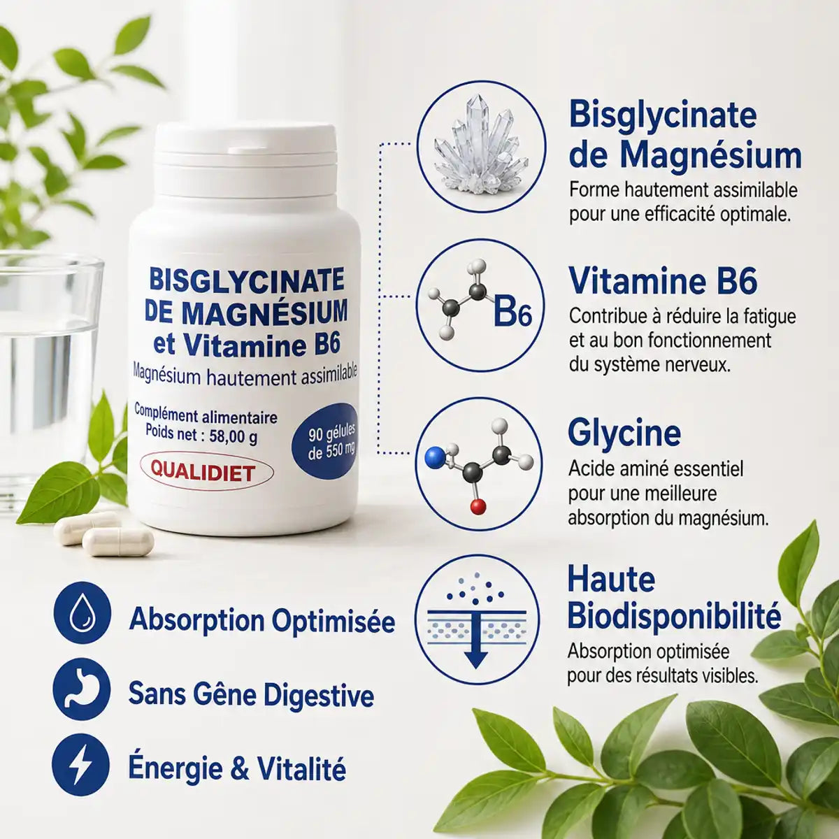 Qualidiet Magnésium Bisglycinate 90 gélules avec Vitamine B6 - Flacon produit et infographie ingrédients