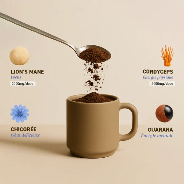 Le dosage exact des ingrédients contenus dans le super café aux champignons adaptogènes BOOST de French Mush