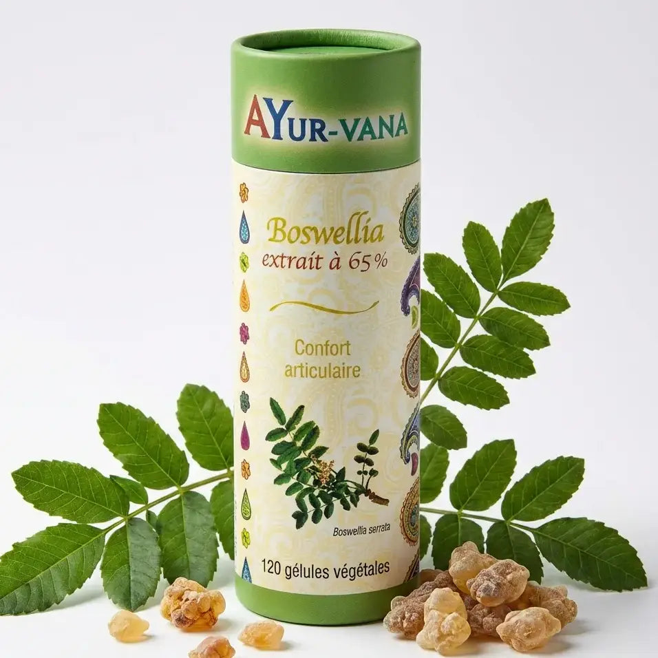 Boswellia serrata 65% 120 gélules Ayur-Vana avec feuilles et résine pour confort articulaire