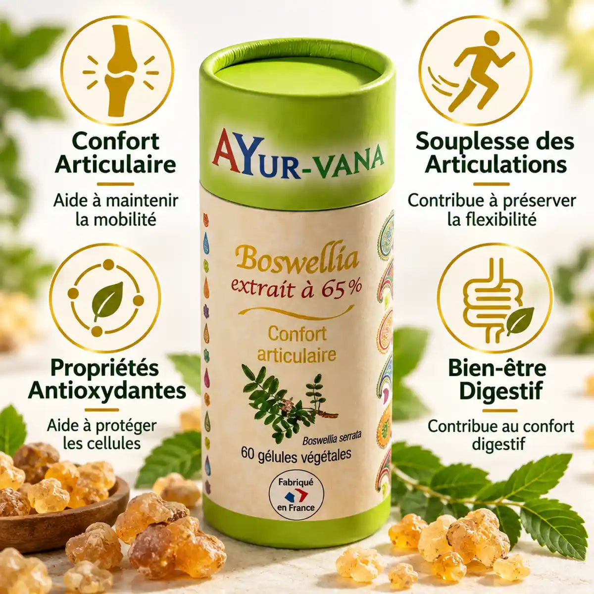 Boswellia serrata 65% 60 gélules Ayur-Vana confort articulaire souplesse avec feuilles vertes