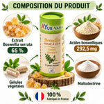 Boswellia serrata 65% Ayur-Vana - Composition produit gélules confort articulaire fabriqué France