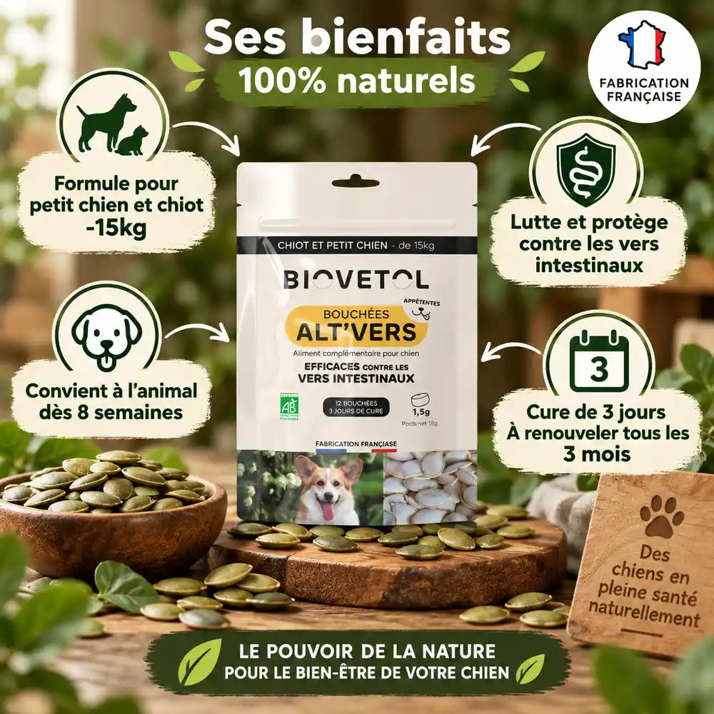 Bouchées Alt'Vers Bio Biovetol vermifuge chiot petit chien, graines courge, fabrication française