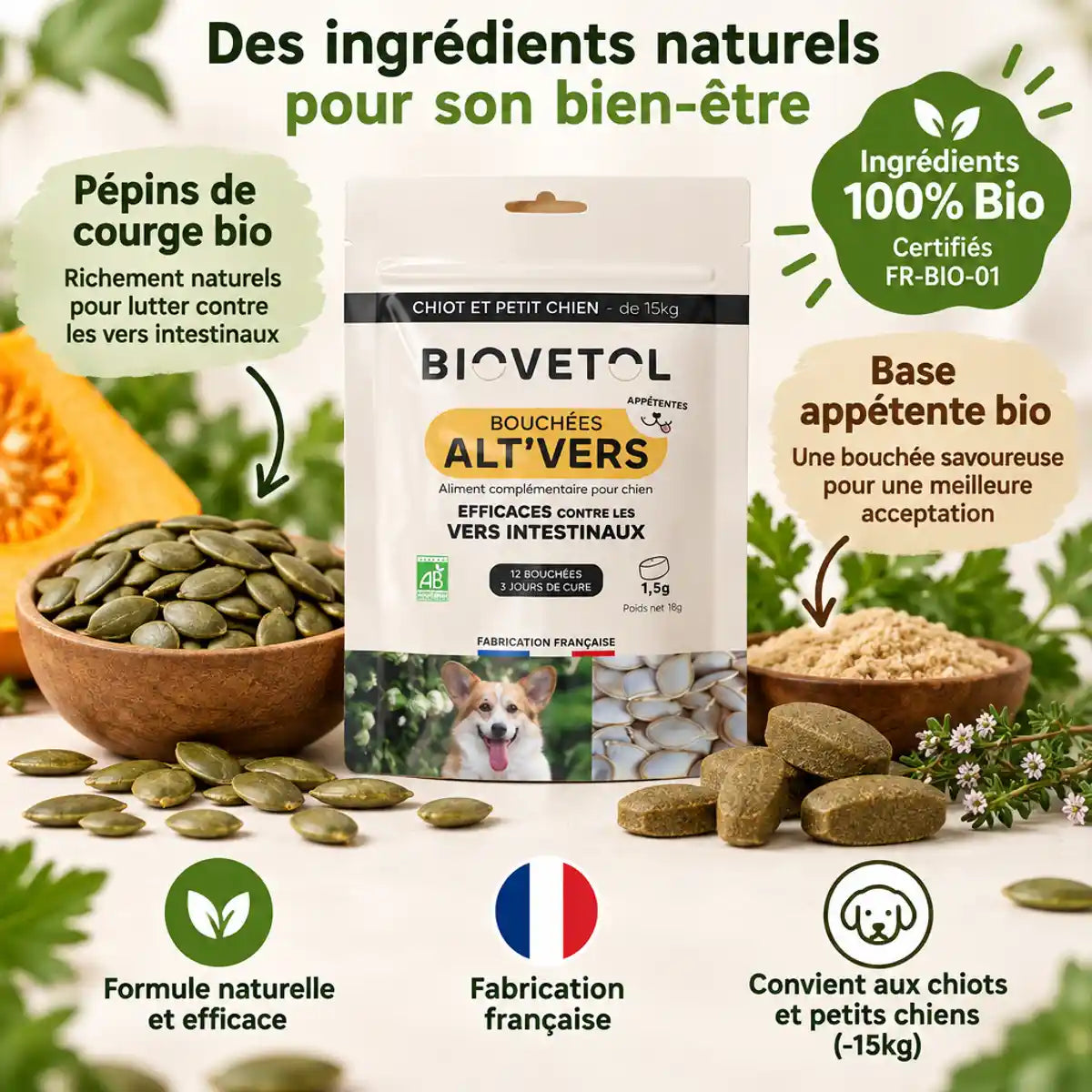 Bouchées Alt'Vers Bio Biovetol avec pépins de courge bio contre vers intestinaux chiot